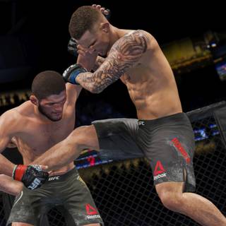 EA Sports UFC 4 HD wallpaper
