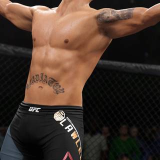 EA Sports UFC 4 HD wallpaper