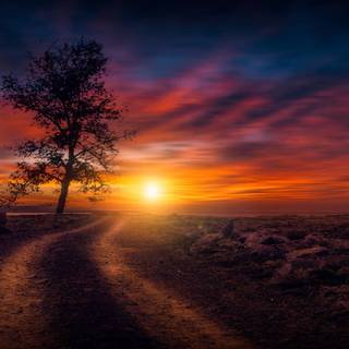 Amazing sunset Ultra HD wallpaper