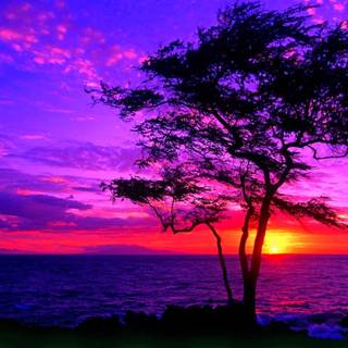 Amazing sunset Ultra HD wallpaper