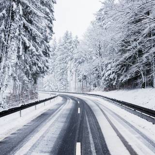 Winter tree iPhone 13 4k wallpaper