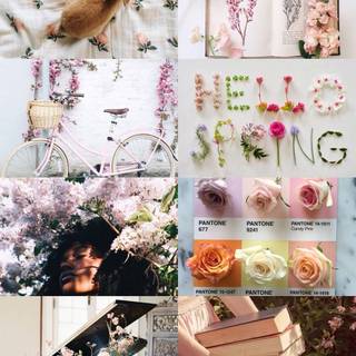 Christian spring collage wallpaper