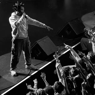 Mike Dimes wallpaper