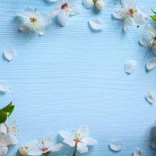 Pretty spring flowers blue wallpaper
