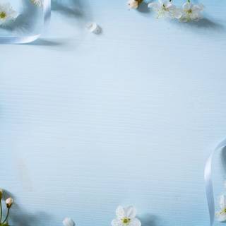 Pretty spring flowers blue wallpaper