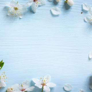 Pretty spring flowers blue wallpaper