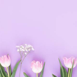 Simple spring phone wallpaper