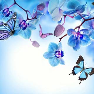 Pretty spring flowers blue wallpaper