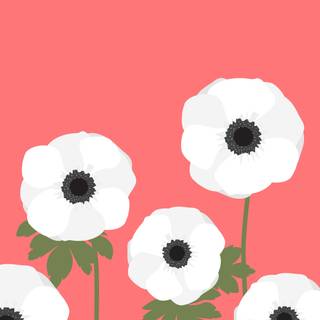 Simple spring phone wallpaper