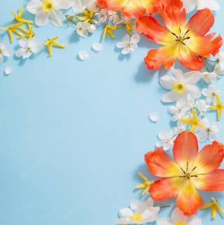 Pretty spring flowers blue wallpaper