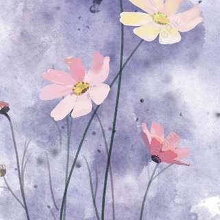 Simple spring phone wallpaper