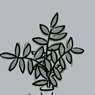 Simple spring phone wallpaper