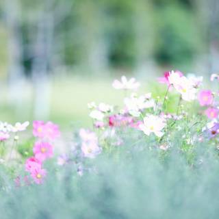 Spring PC 4k wallpaper