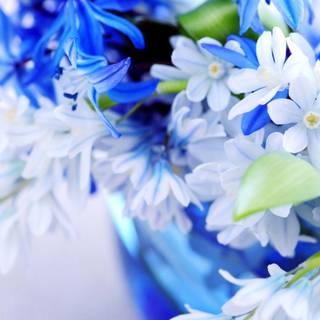 Pretty blue spring flowers wallpaper