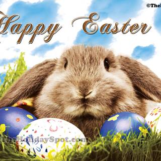 Happy Easter bunnys wallpaper