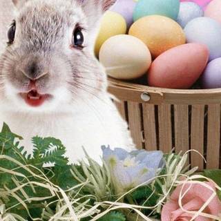 Happy Easter bunnys wallpaper