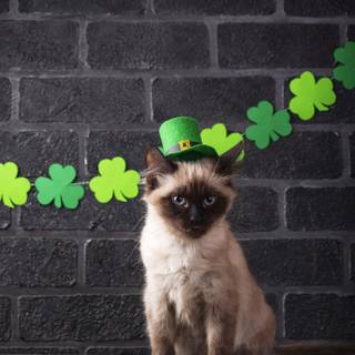 Kawaii animal St Patricks Day wallpaper