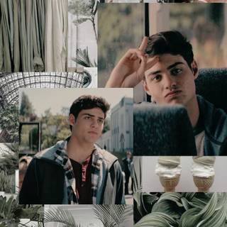 To All The Boys I've Loved Before collage wallpaper