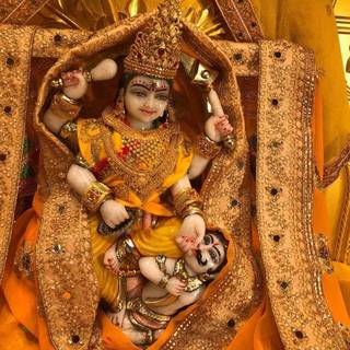 Baglamukhi wallpaper