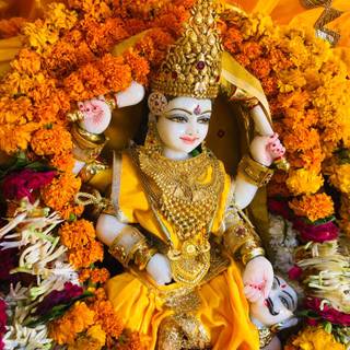 Baglamukhi wallpaper