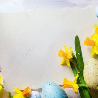 Spring Happy Easter wallpaper