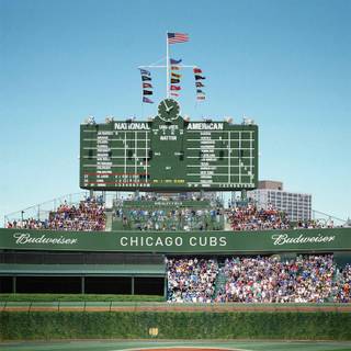 Chicago Cubs 2023 wallpaper