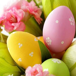 Easter eggs and flowers wallpaper