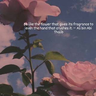 Ali Bin Abi Thalib wallpaper