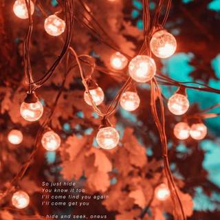 Hide and Seek Song wallpaper