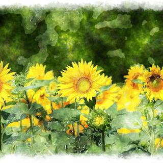 Sunflower painting wallpaper