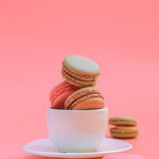 Macarons HD wallpaper