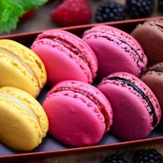 Macarons HD wallpaper
