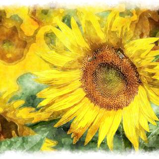 Sunflower painting wallpaper