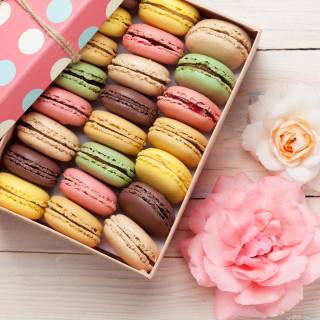 Macarons HD wallpaper