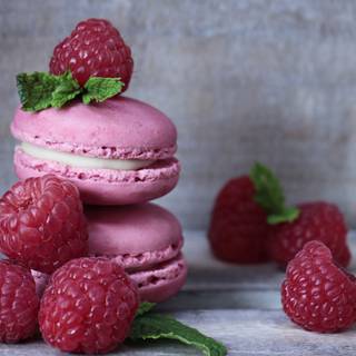 Macarons HD wallpaper