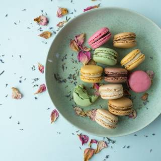 Macarons HD wallpaper