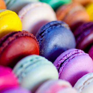 Macarons HD wallpaper