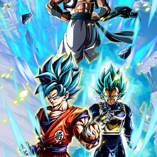 Goku x Vegeta wallpaper