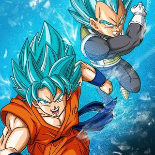 Goku x Vegeta wallpaper