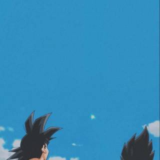 Goku x Vegeta wallpaper