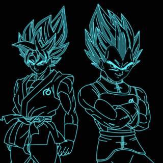 Goku x Vegeta wallpaper