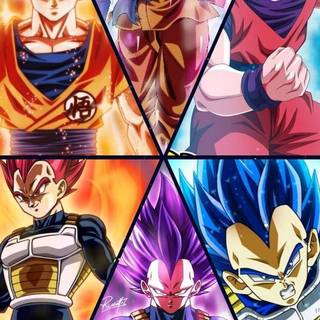 Goku x Vegeta wallpaper