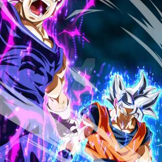 Goku x Vegeta wallpaper