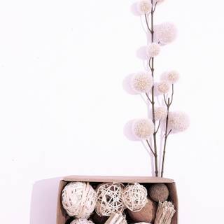 Aesthetic cozy spring phone wallpaper