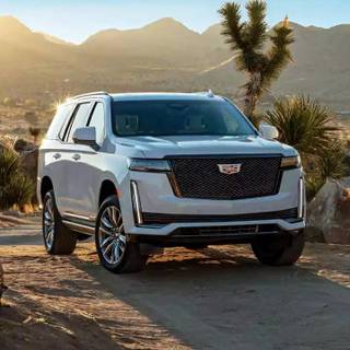 2023 Escalade wallpaper