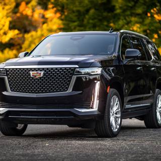 2023 Escalade wallpaper