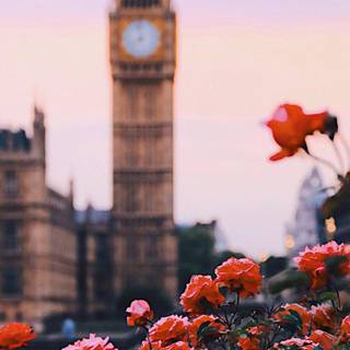 Spring 4k iPhone wallpaper