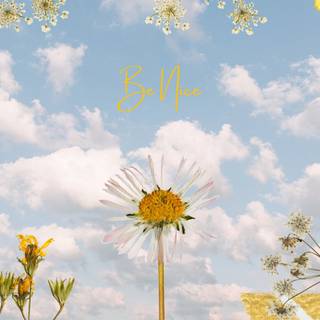 Blue spring HD wallpaper