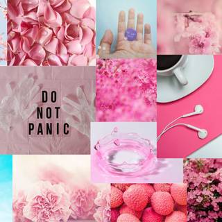 Aesthetic desktop spring collage wallpaper