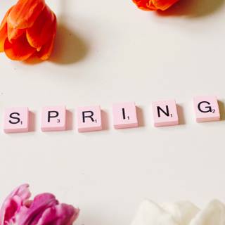 Spring clean wallpaper